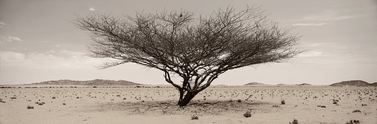 Classic Collection, a panorama by Koos van der Lende