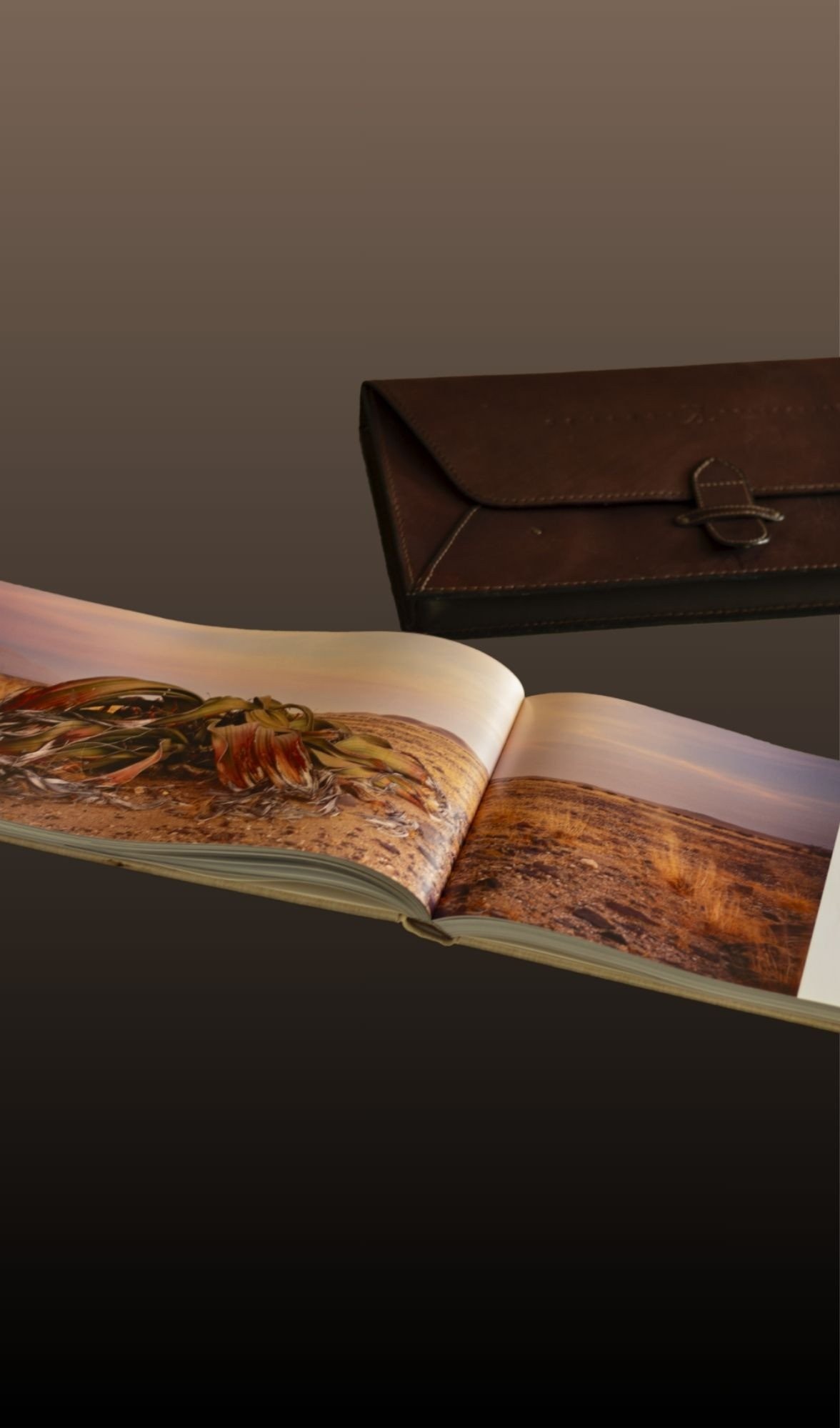 Moments of Grace open at an aloe panorama, the leather pouch behind
