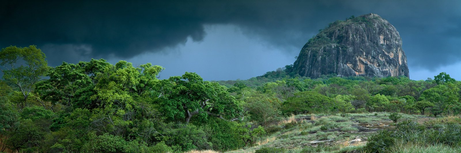 A dark storm sky over a granite inselberg and fresh green bush in the Niassa