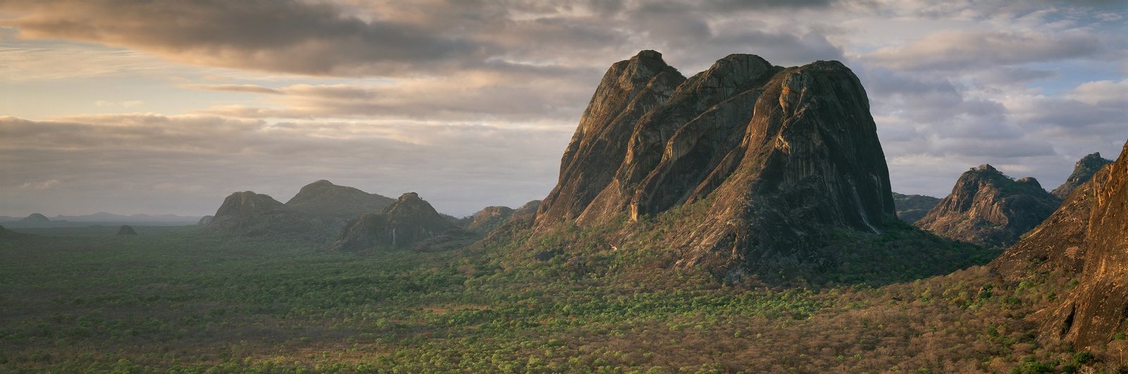 Mount Ngoronge lit by the first light of dawn above the Niassa woodland